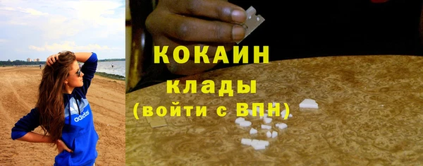 твердый Мегион