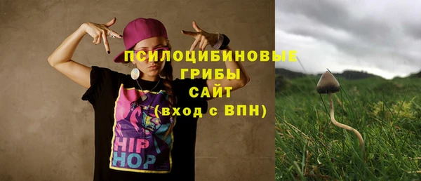 твердый Мегион