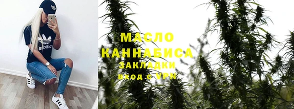 твердый Мегион