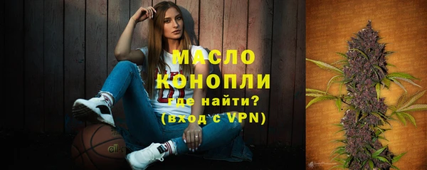 твердый Мегион